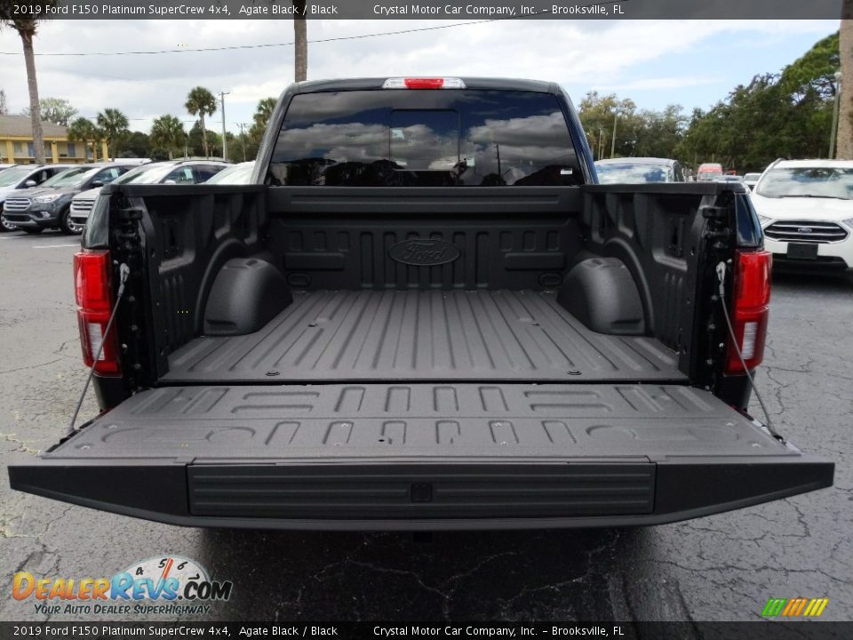 2019 Ford F150 Platinum SuperCrew 4x4 Agate Black / Black Photo #19