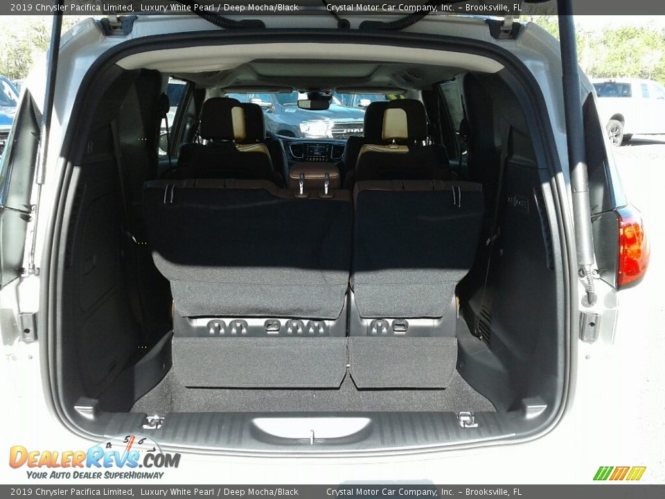 2019 Chrysler Pacifica Limited Luxury White Pearl / Deep Mocha/Black Photo #20