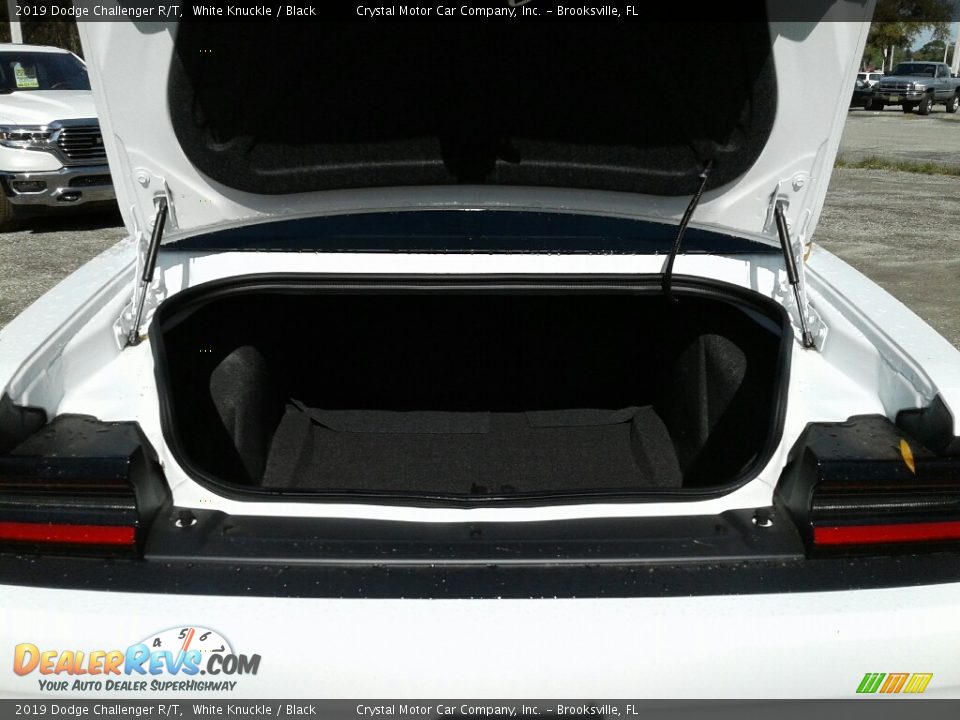 2019 Dodge Challenger R/T White Knuckle / Black Photo #19