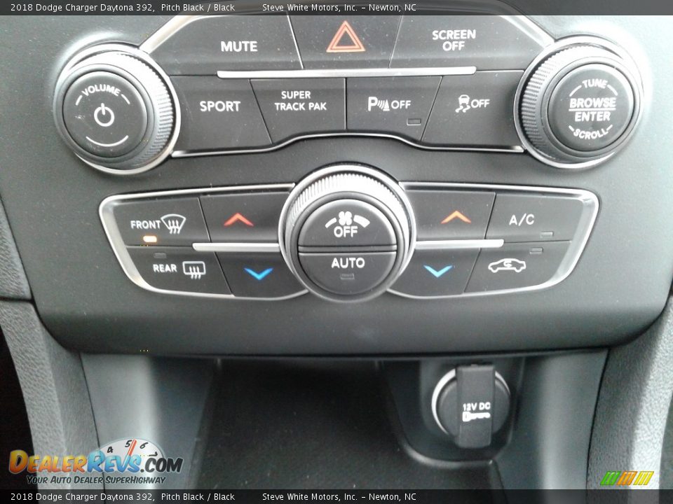 2018 Dodge Charger Daytona 392 Pitch Black / Black Photo #30