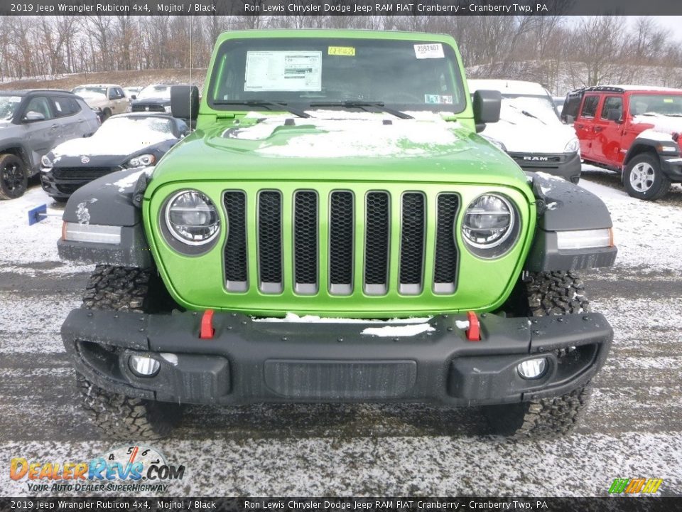 Mojito! 2019 Jeep Wrangler Rubicon 4x4 Photo #8