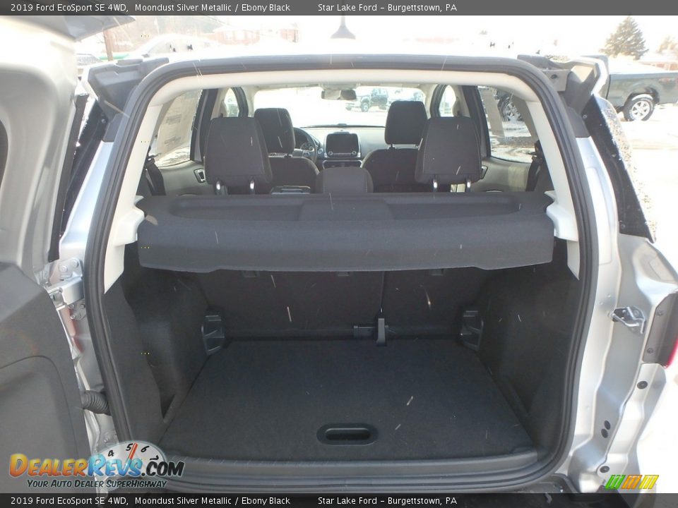 2019 Ford EcoSport SE 4WD Moondust Silver Metallic / Ebony Black Photo #6
