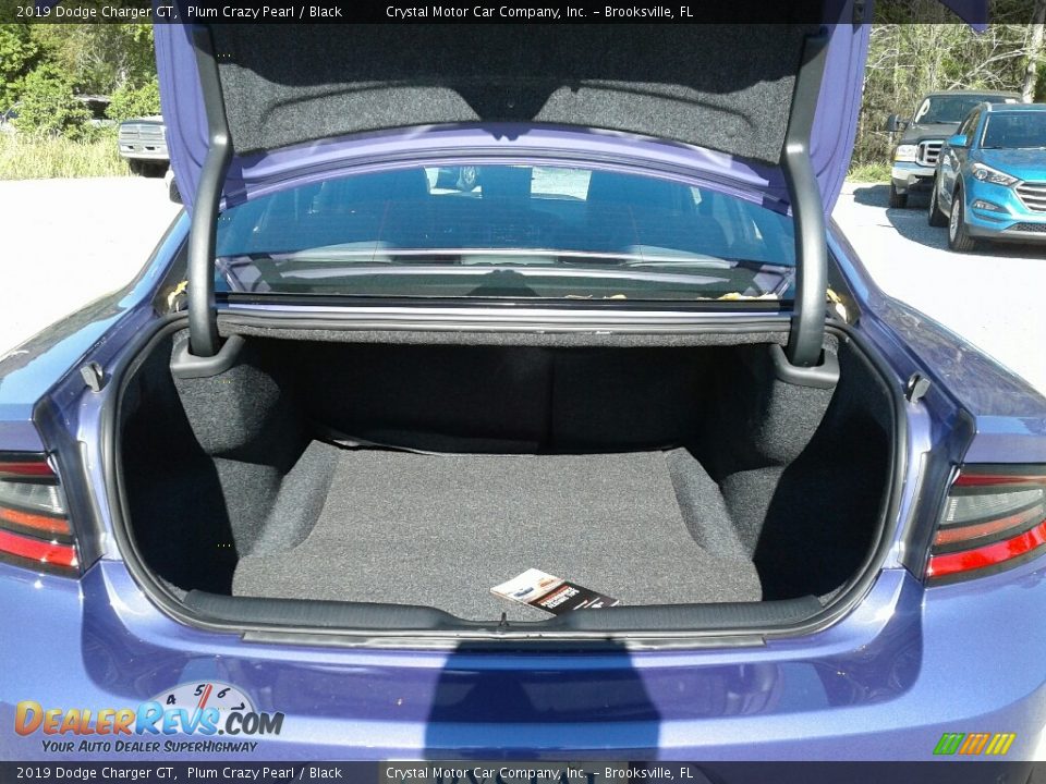 2019 Dodge Charger GT Plum Crazy Pearl / Black Photo #19