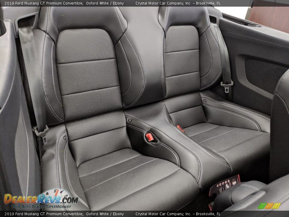 Rear Seat of 2019 Ford Mustang GT Premium Convertible Photo #9