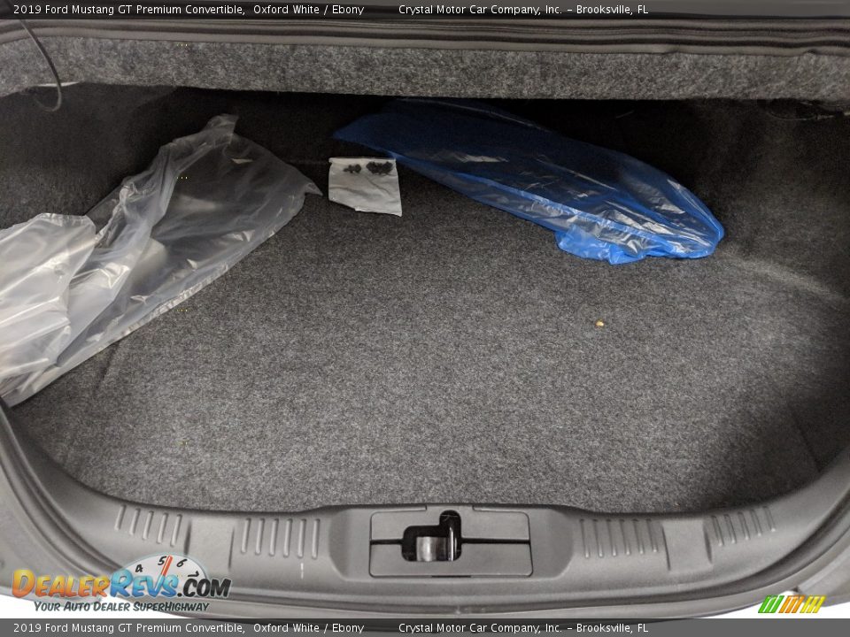 2019 Ford Mustang GT Premium Convertible Trunk Photo #10