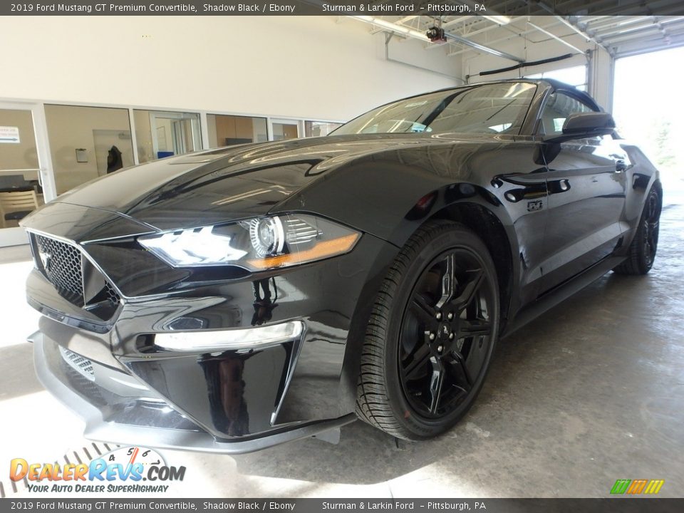 2019 Ford Mustang GT Premium Convertible Shadow Black / Ebony Photo #4