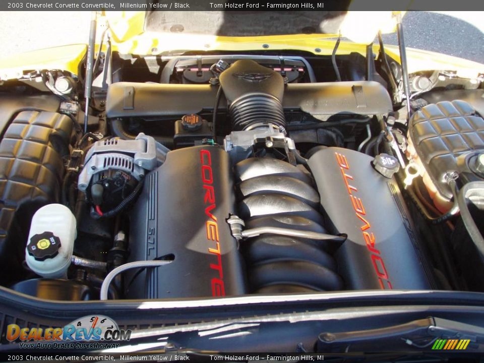 2003 Chevrolet Corvette Convertible Millenium Yellow / Black Photo #16