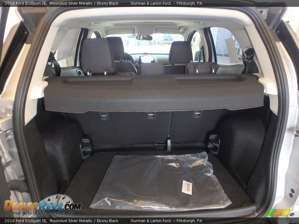 2019 Ford EcoSport SE Moondust Silver Metallic / Ebony Black Photo #3