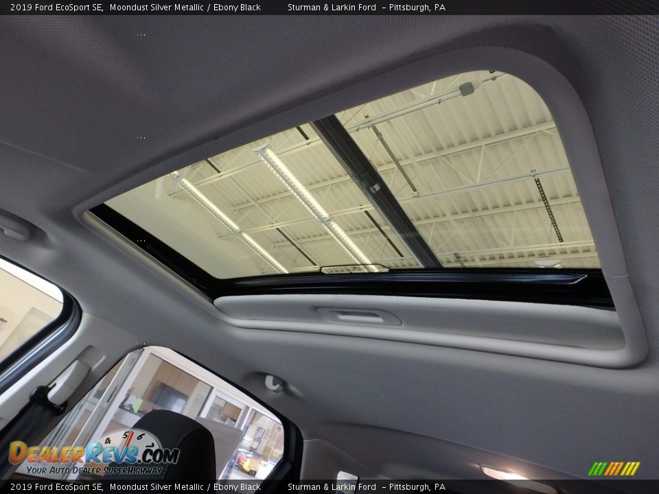 2019 Ford EcoSport SE Moondust Silver Metallic / Ebony Black Photo #15