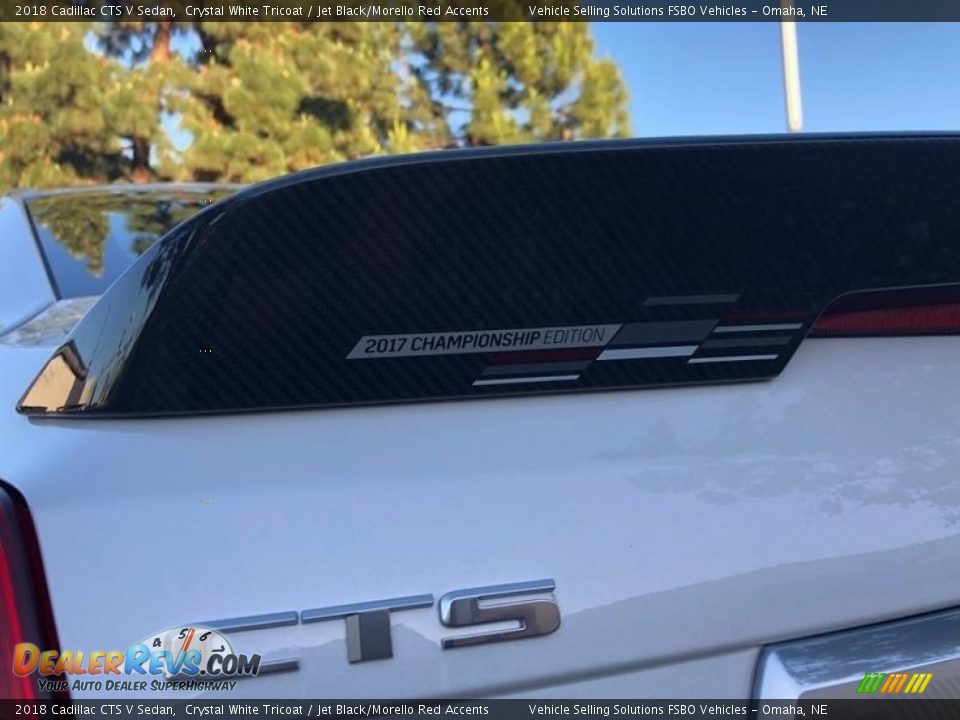 2018 Cadillac CTS V Sedan Logo Photo #18