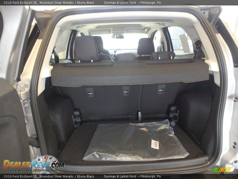 2019 Ford EcoSport SE Moondust Silver Metallic / Ebony Black Photo #3