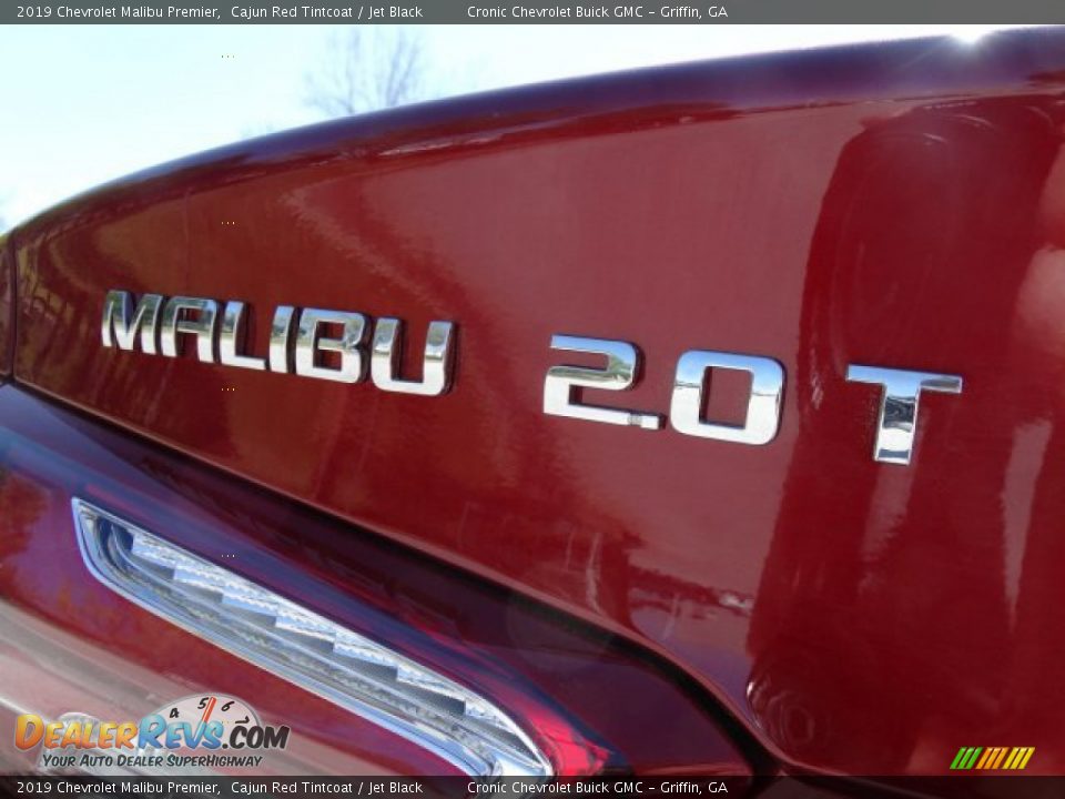2019 Chevrolet Malibu Premier Cajun Red Tintcoat / Jet Black Photo #9