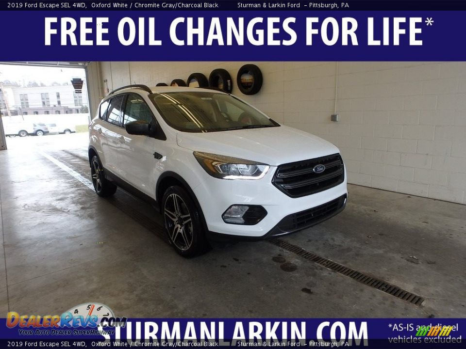 2019 Ford Escape SEL 4WD Oxford White / Chromite Gray/Charcoal Black Photo #1