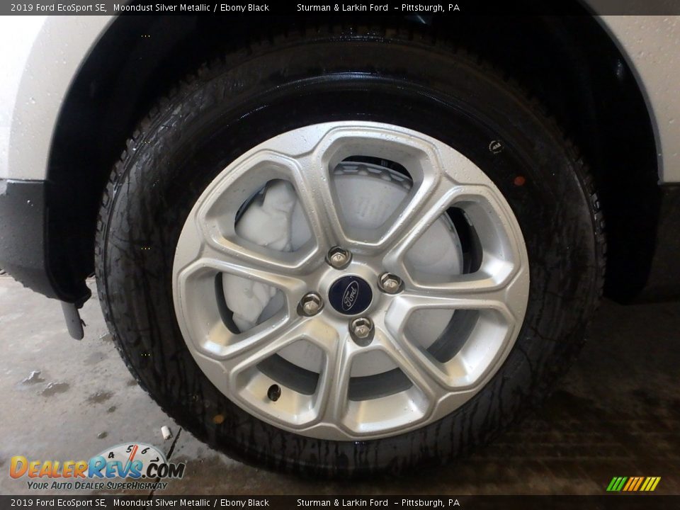 2019 Ford EcoSport SE Moondust Silver Metallic / Ebony Black Photo #6