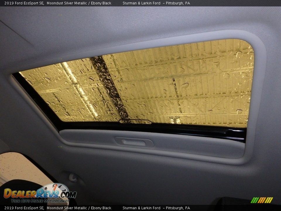 2019 Ford EcoSport SE Moondust Silver Metallic / Ebony Black Photo #15