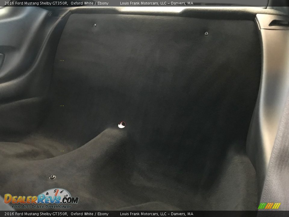 Rear Seat of 2016 Ford Mustang Shelby GT350R Photo #13