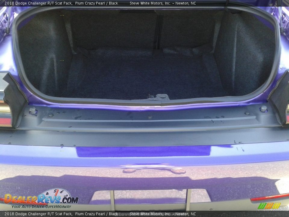 2018 Dodge Challenger R/T Scat Pack Plum Crazy Pearl / Black Photo #12