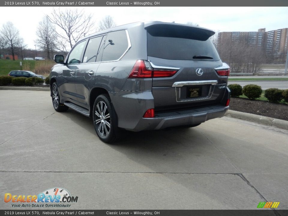 2019 Lexus LX 570 Nebula Gray Pearl / Cabernet Photo #4