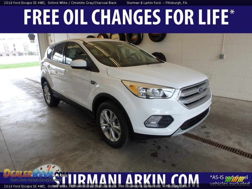 2019 Ford Escape SE 4WD Oxford White / Chromite Gray/Charcoal Black Photo #1