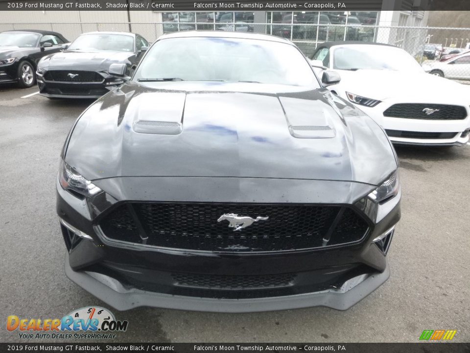 2019 Ford Mustang GT Fastback Shadow Black / Ceramic Photo #4