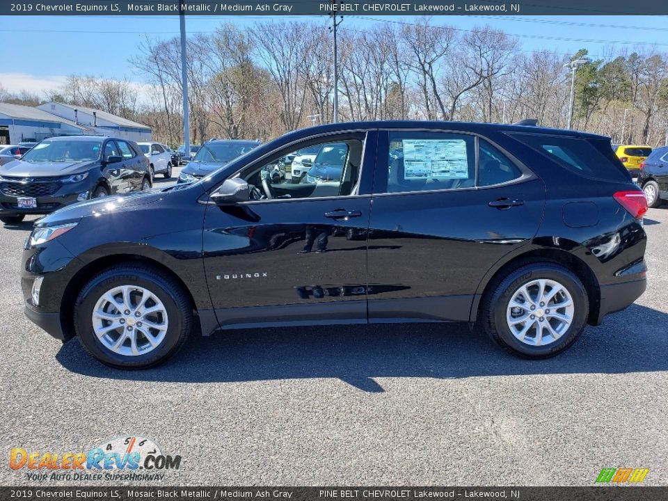 2019 Chevrolet Equinox LS Mosaic Black Metallic / Medium Ash Gray Photo #3