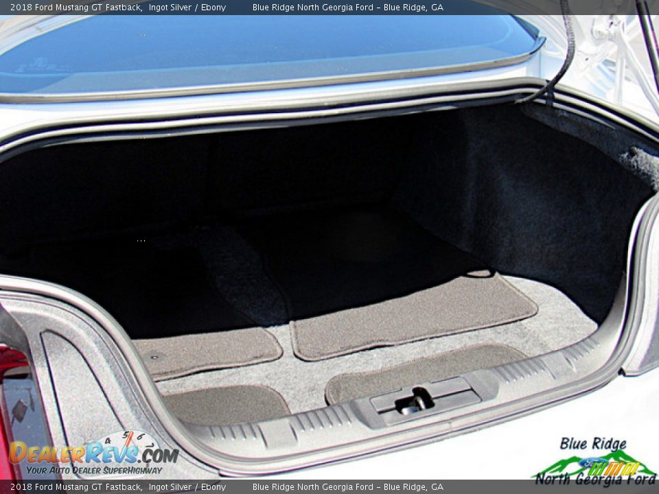 2018 Ford Mustang GT Fastback Ingot Silver / Ebony Photo #17