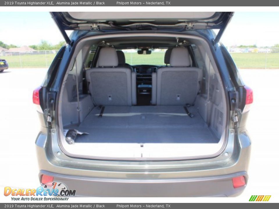 2019 Toyota Highlander XLE Alumina Jade Metallic / Black Photo #22