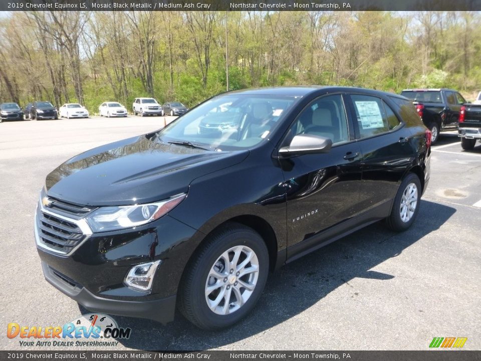 2019 Chevrolet Equinox LS Mosaic Black Metallic / Medium Ash Gray Photo #1