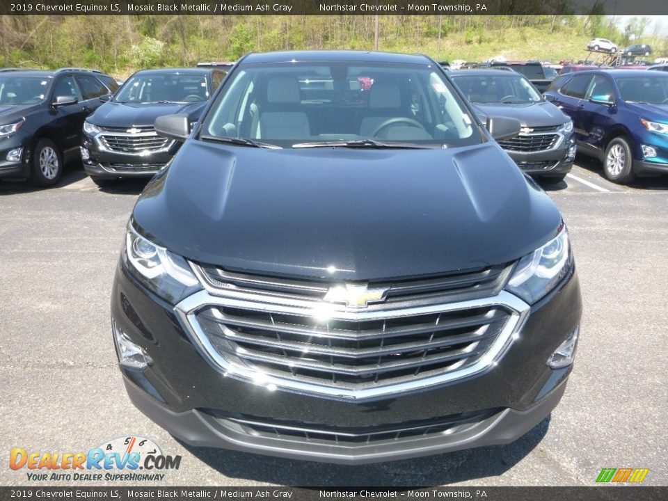 2019 Chevrolet Equinox LS Mosaic Black Metallic / Medium Ash Gray Photo #8