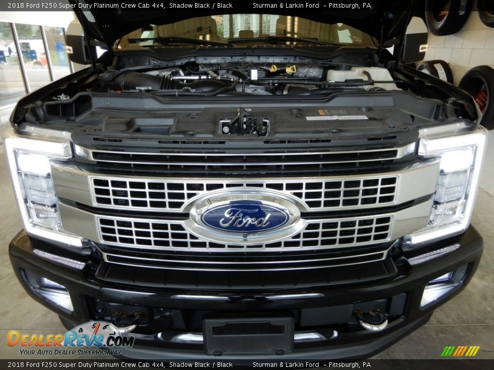 2018 Ford F250 Super Duty Platinum Crew Cab 4x4 Shadow Black / Black Photo #14