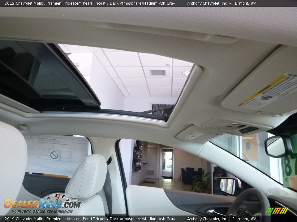 2019 Chevrolet Malibu Premier Iridescent Pearl Tricoat / Dark Atmosphere/Medium Ash Gray Photo #11
