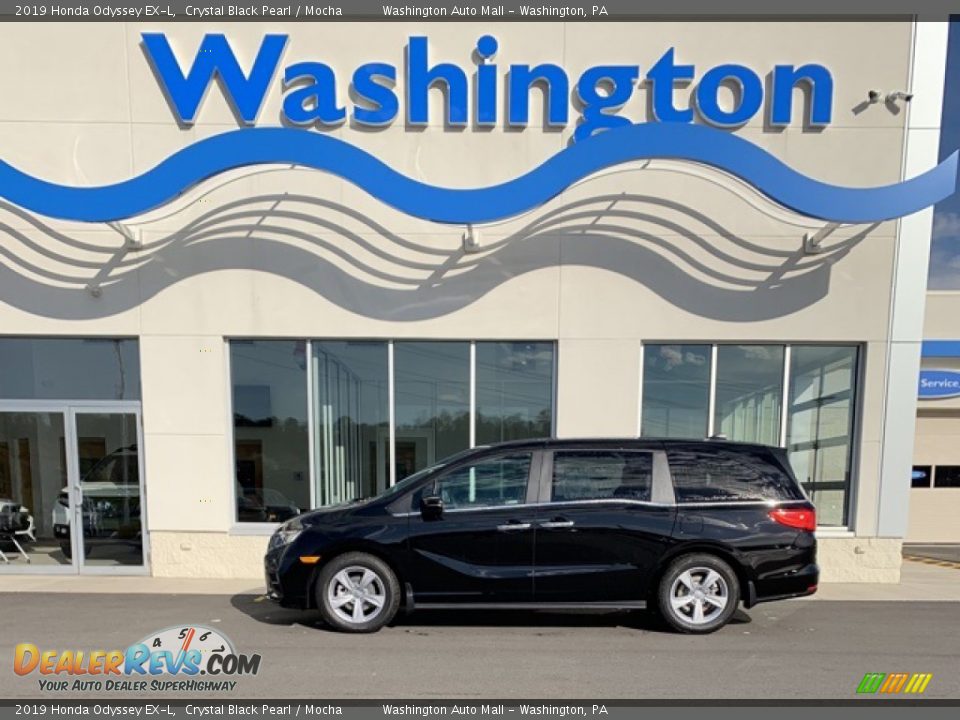 2019 Honda Odyssey EX-L Crystal Black Pearl / Mocha Photo #1