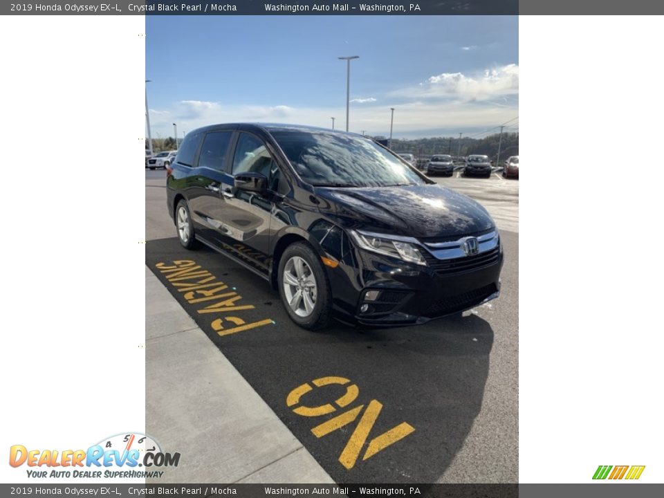2019 Honda Odyssey EX-L Crystal Black Pearl / Mocha Photo #4