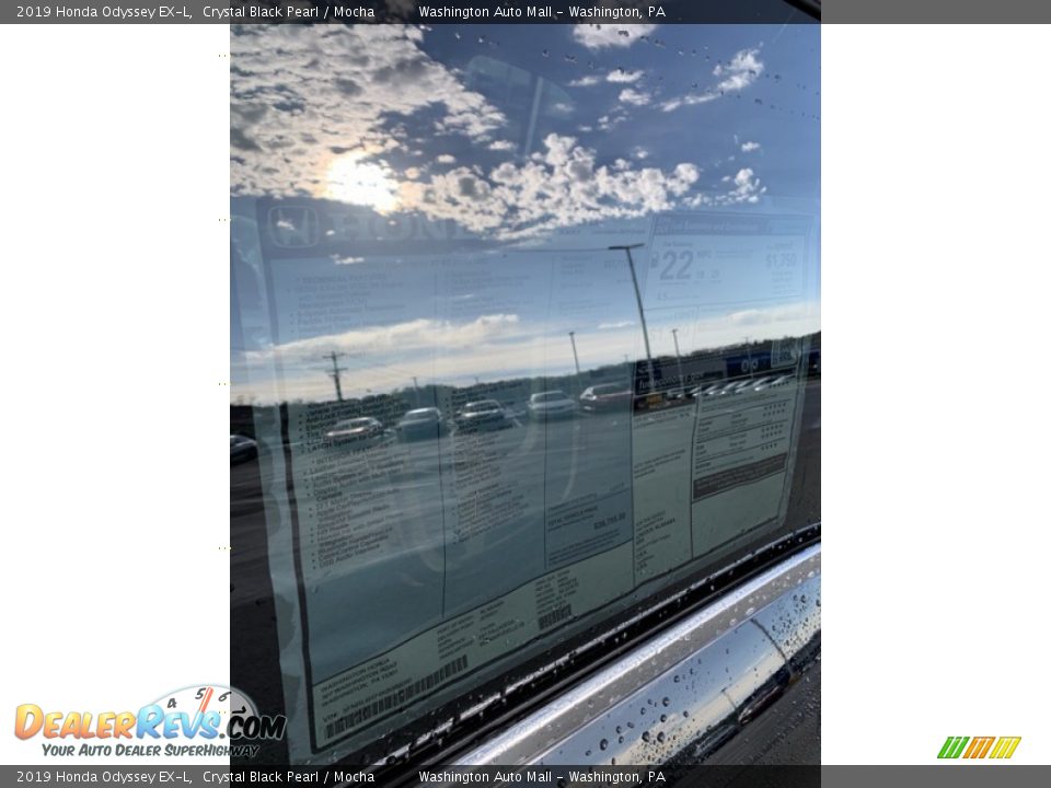 2019 Honda Odyssey EX-L Crystal Black Pearl / Mocha Photo #15