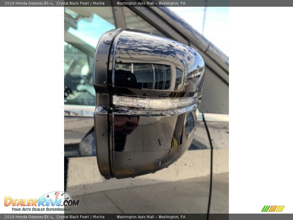 2019 Honda Odyssey EX-L Crystal Black Pearl / Mocha Photo #32