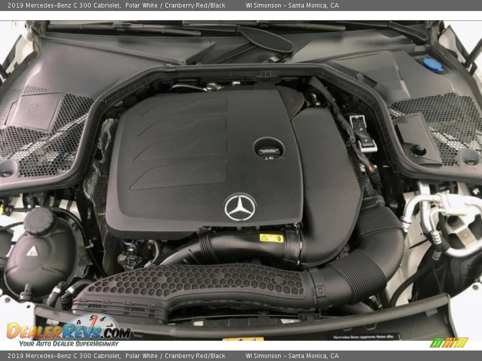 2019 Mercedes-Benz C 300 Cabriolet Polar White / Cranberry Red/Black Photo #8