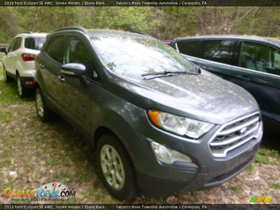 2019 Ford EcoSport SE 4WD Smoke Metallic / Ebony Black Photo #3