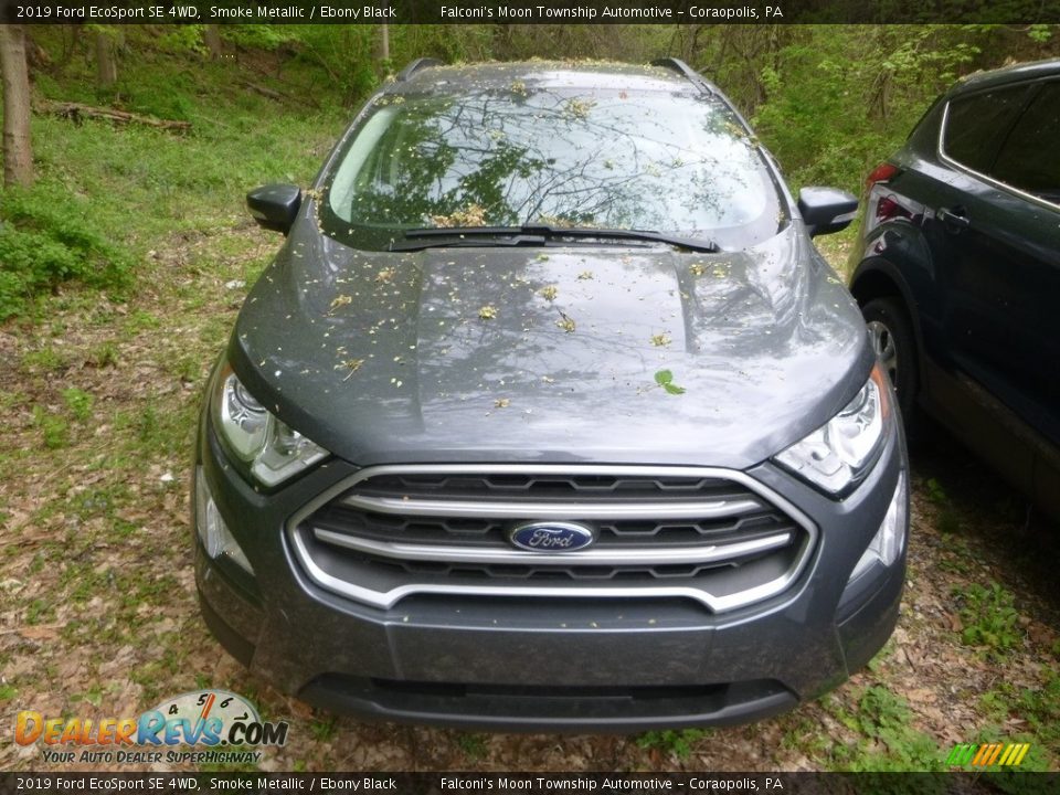 2019 Ford EcoSport SE 4WD Smoke Metallic / Ebony Black Photo #4