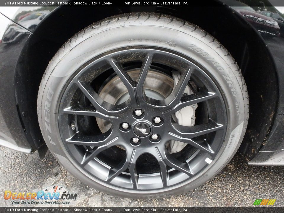 2019 Ford Mustang EcoBoost Fastback Wheel Photo #10