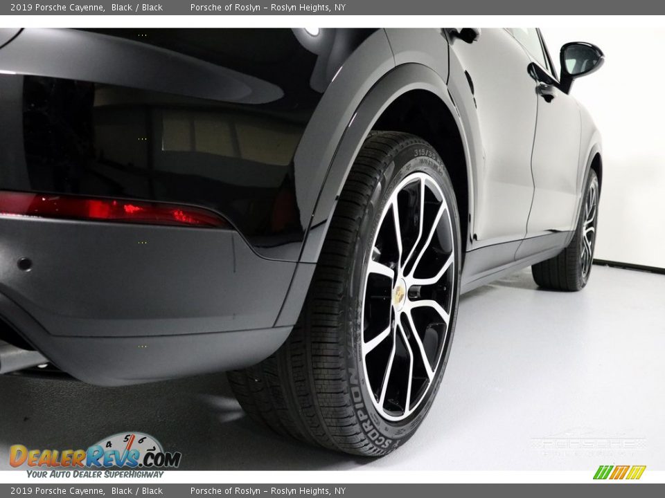 2019 Porsche Cayenne Black / Black Photo #10