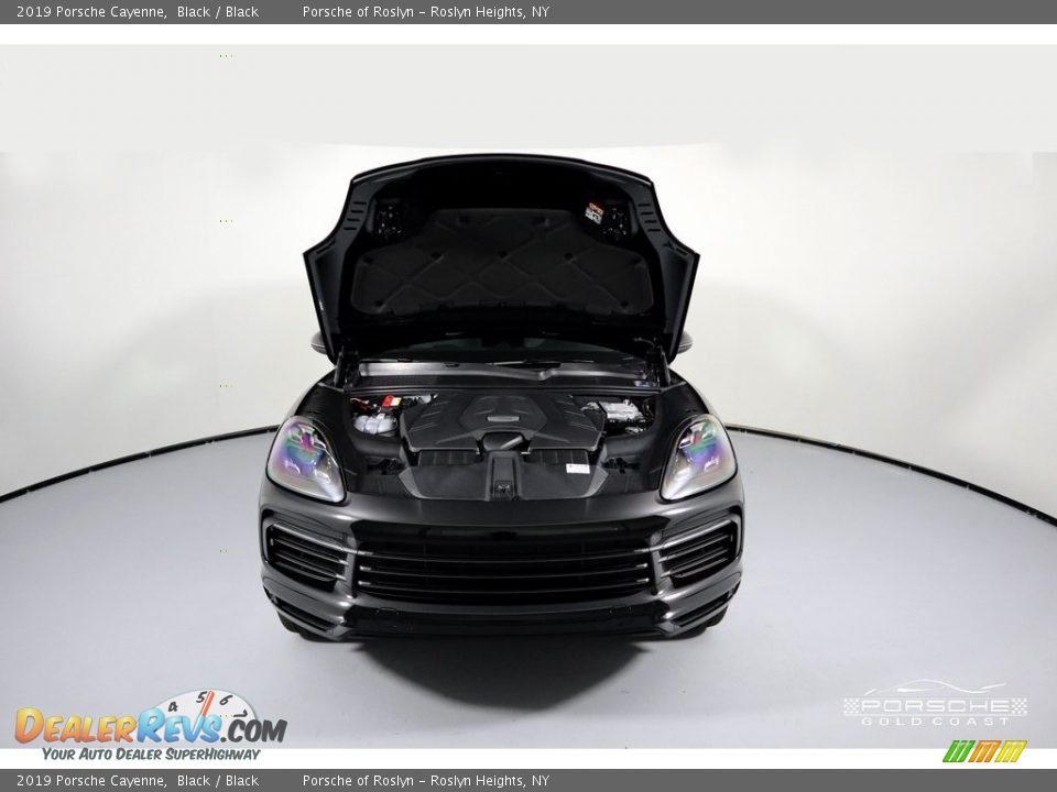 2019 Porsche Cayenne Black / Black Photo #29