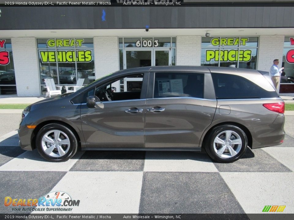 2019 Honda Odyssey EX-L Pacific Pewter Metallic / Mocha Photo #1