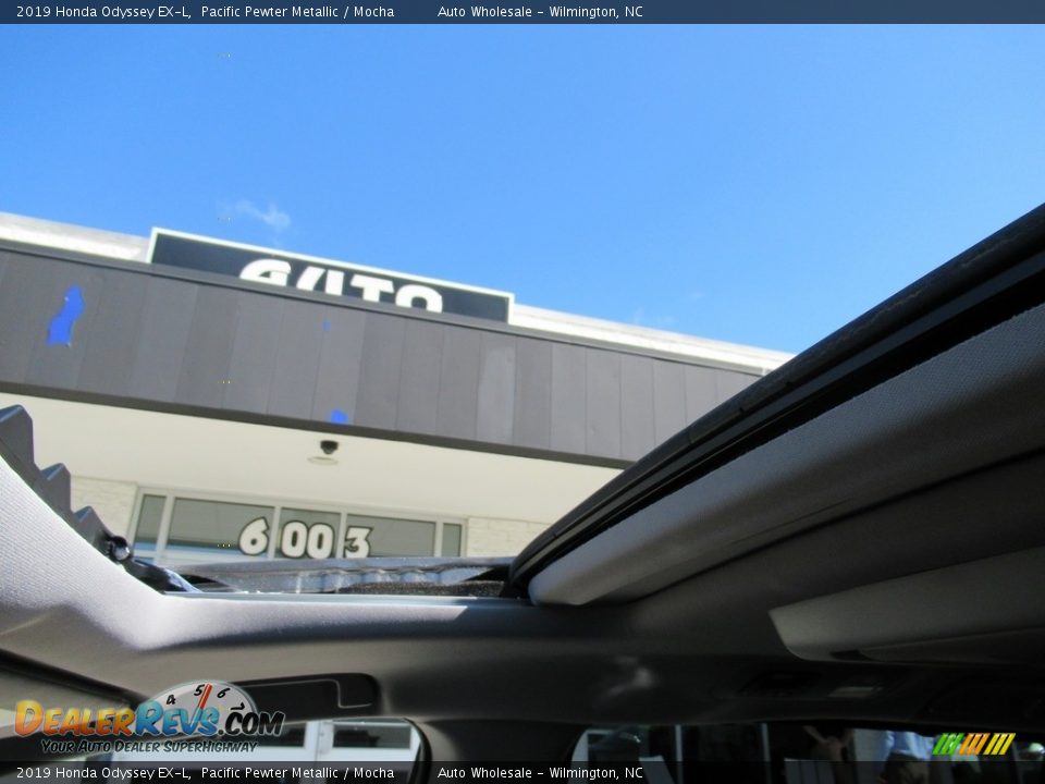 2019 Honda Odyssey EX-L Pacific Pewter Metallic / Mocha Photo #13