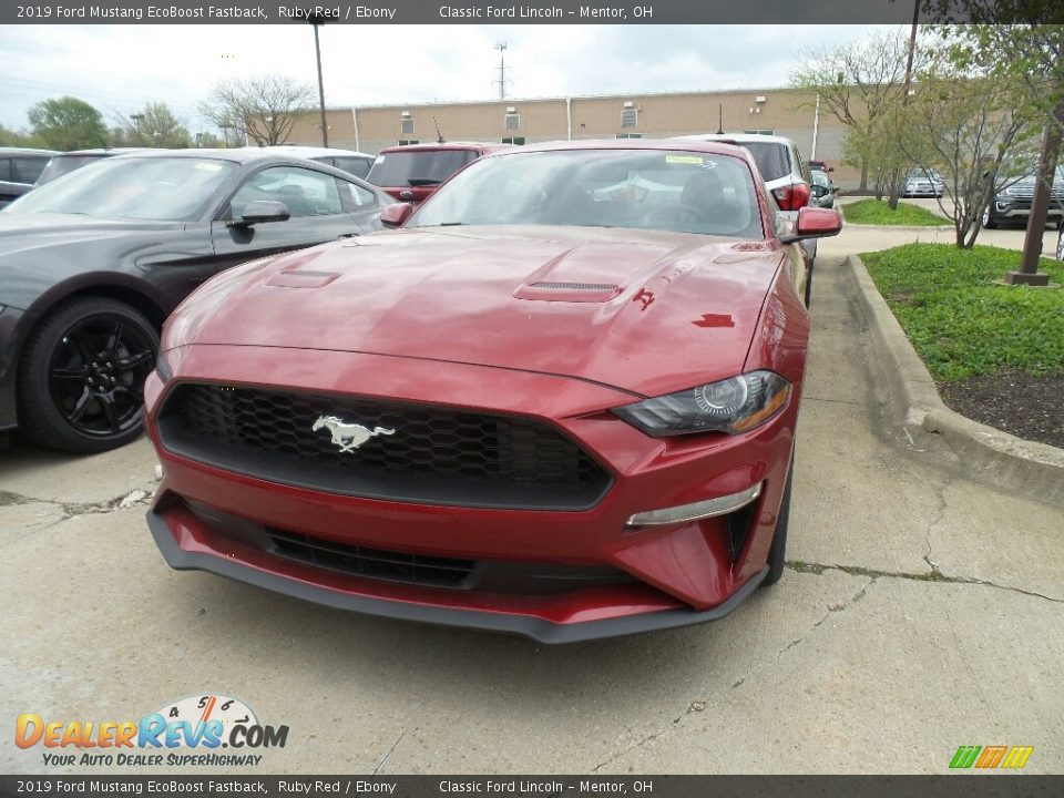 2019 Ford Mustang EcoBoost Fastback Ruby Red / Ebony Photo #1