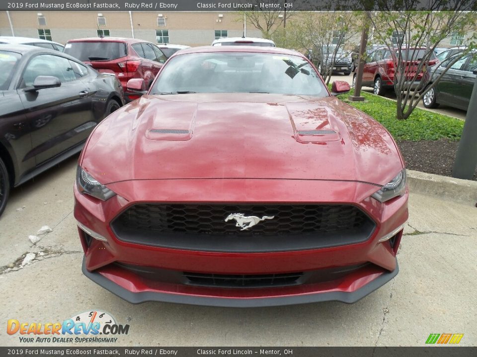 2019 Ford Mustang EcoBoost Fastback Ruby Red / Ebony Photo #2