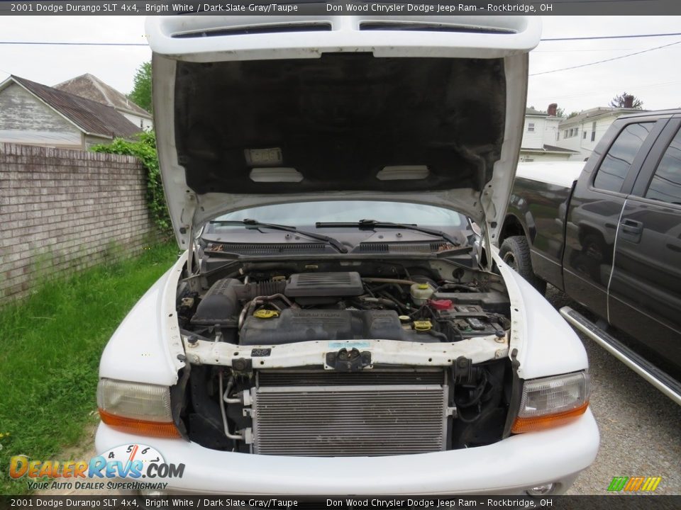 2001 Dodge Durango SLT 4x4 Bright White / Dark Slate Gray/Taupe Photo #5