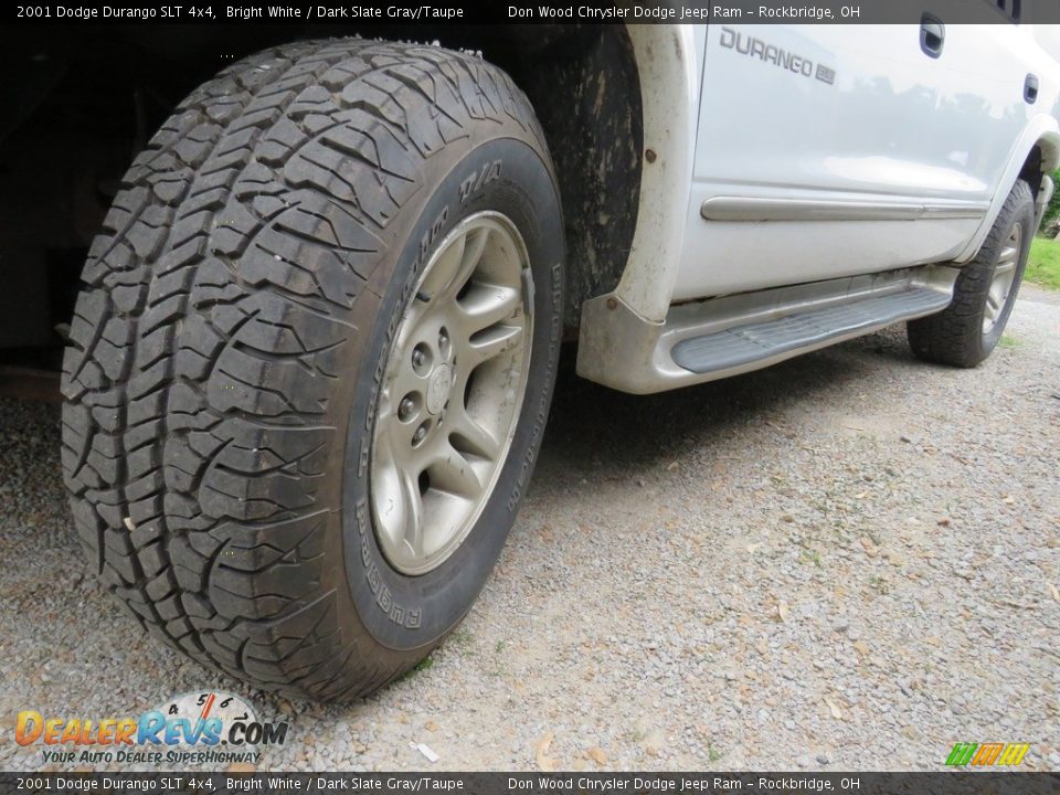 2001 Dodge Durango SLT 4x4 Bright White / Dark Slate Gray/Taupe Photo #8