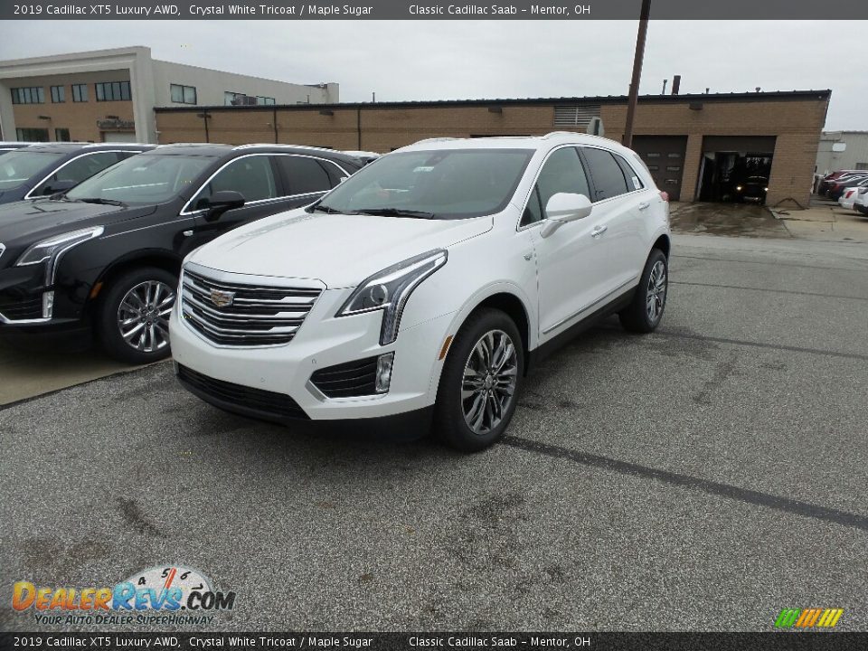 2019 Cadillac XT5 Luxury AWD Crystal White Tricoat / Maple Sugar Photo #1