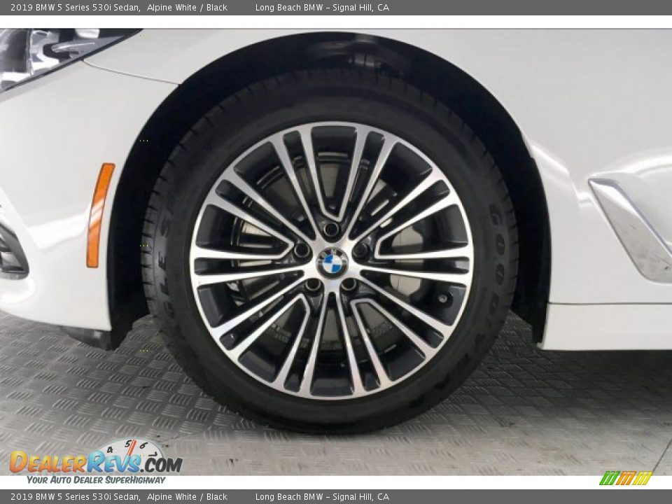 2019 BMW 5 Series 530i Sedan Alpine White / Black Photo #8