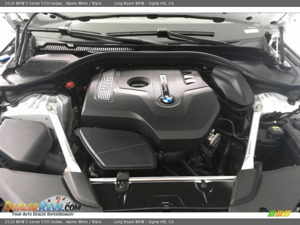 2019 BMW 5 Series 530i Sedan Alpine White / Black Photo #9